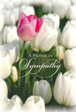 BOXED CARDS - SYMPATHY - GOD'S PROMISE