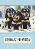 BOXED CARDS - BD - PLAYFUL PUPPIES