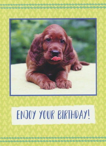 BOXED CARDS - BD - PLAYFUL PUPPIES