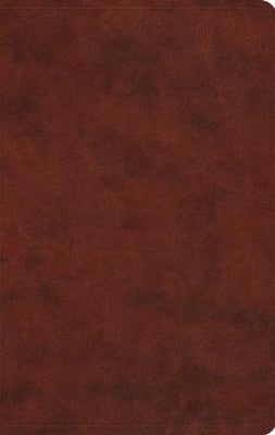 ESV - LP THINLINE VALUE CHESTNUT