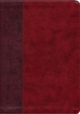 ESV - STUDY BURG/REDTIMELESS  INDEXED