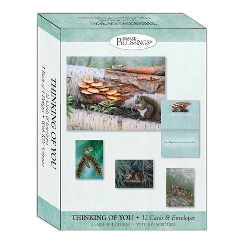 BOXED CARDS - TOY - WOODLANDS