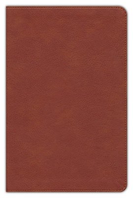 NASB - LP PERSONAL REF - BURNT SIENNA