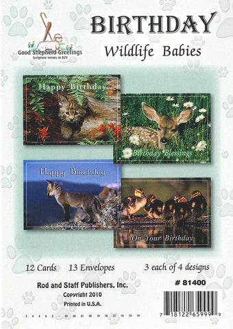 BOXED CARD - BIRTHDAY - WILDLIFE BABIES