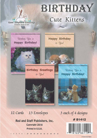 BOXED CARD - BIRTHDAY - CUTE KITTENS