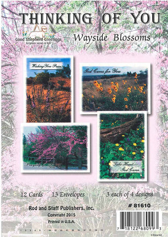 BOXED CARD - THINKING OF YOU - WAYSIDE BLOSSOMS