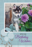 BOXED CARD - BIRTHDAY - FAVORITE FRIENDS