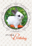 BOXED CARD - BIRTHDAY - FAVORITE FRIENDS
