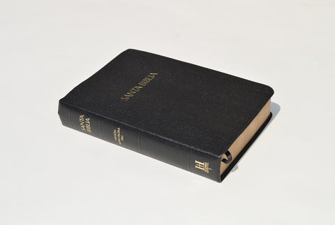 SPANISH BIBLE - VERSION REINA-VALERA 1960